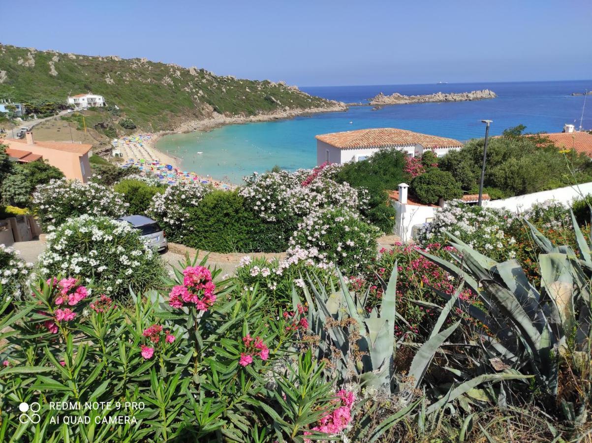 B&B Domus De Janas Santa Teresa Gallura Eksteriør billede