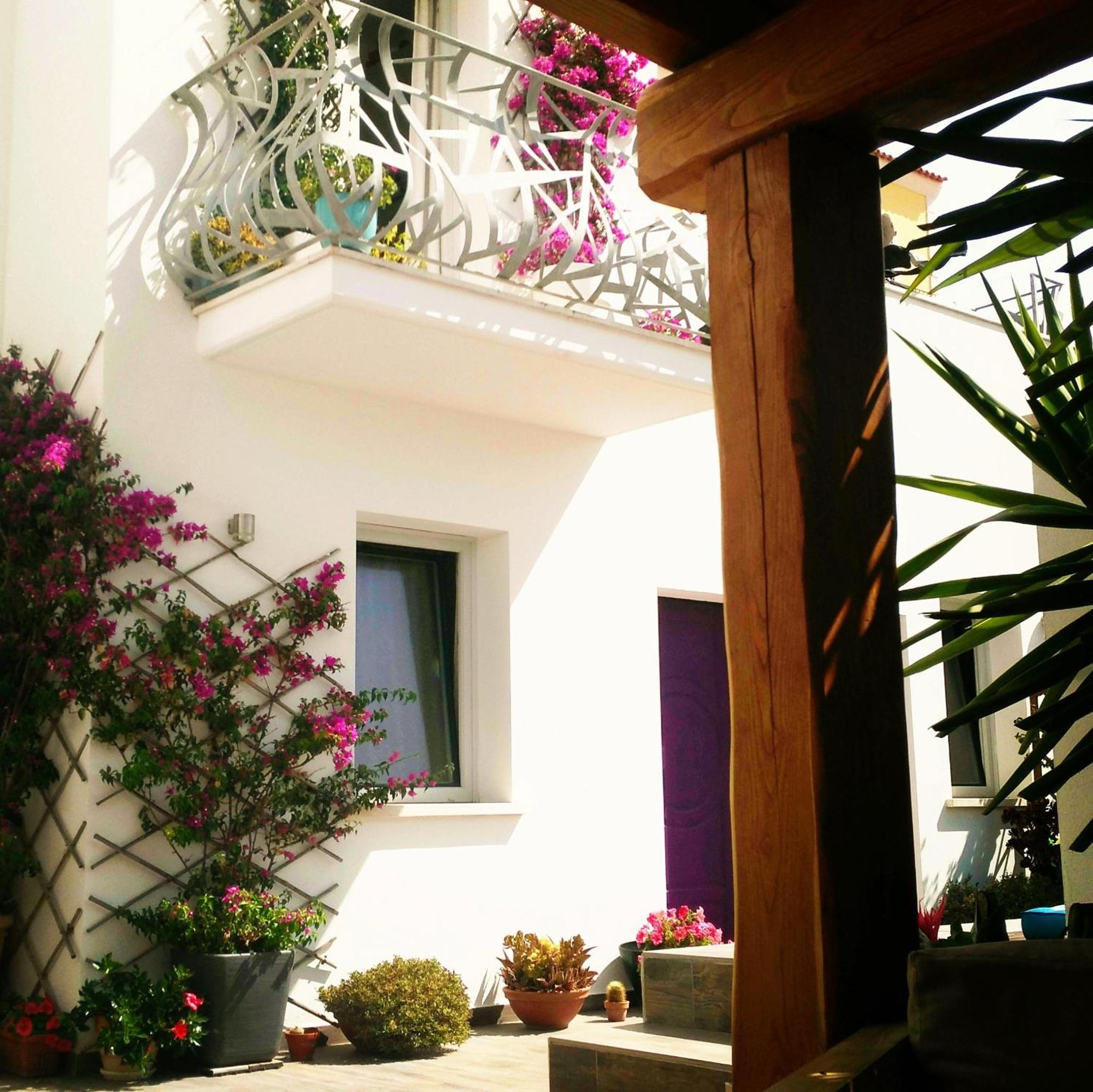 B&B Domus De Janas Santa Teresa Gallura Eksteriør billede